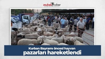Aydın'da kurbanlıklar pazara indi