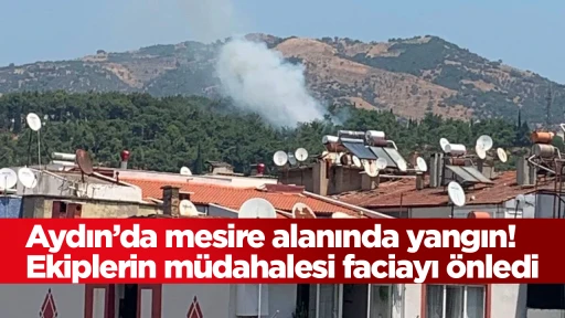 Aydın’da mesire alanında yangın! Ekiplerin müdahalesi faciayı önledi