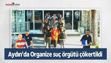 Aydın'da Organize su&ccedil; &ouml;rg&uuml;t&uuml; &ccedil;&ouml;kertildi