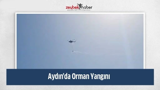 Aydın'da Orman Yangını&nbsp;
