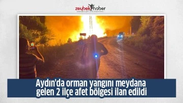Aydın'da orman yangını meydana gelen 2 il&ccedil;e afet b&ouml;lgesi ilan edildi