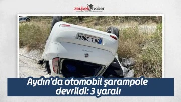Aydın'da otomobil şarampole devrildi: 3 yaralı