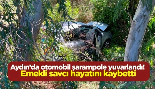 Aydın’da otomobil şarampole yuvarlandı! Emekli savcı hayatını kaybetti