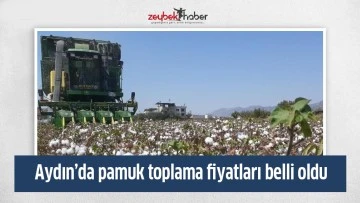 Aydın&rsquo;da pamuk toplama fiyatları belli oldu