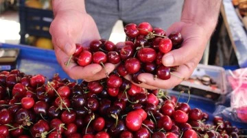 Aydın&rsquo;da pazar tezgahları kırmızıya boyandı