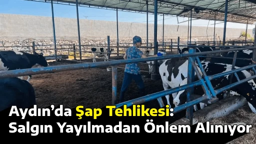 Aydın&rsquo;da Şap Tehlikesi: Salgın Yayılmadan &Ouml;nlem Alınıyor