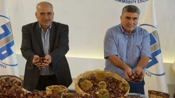 Aydın'da sezonun ilk kestanesi 350 TL&rsquo;den alındı