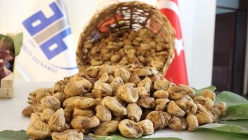 Aydın'da sezonun ilk kuru inciri 350 liradan satıldı