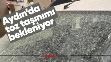 Aydın&rsquo;da toz taşınımı bekleniyor