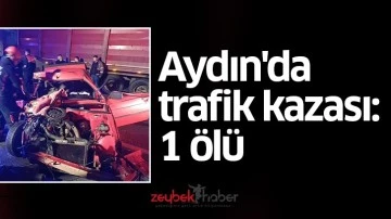Aydın'da trafik kazası: 1 &ouml;l&uuml;