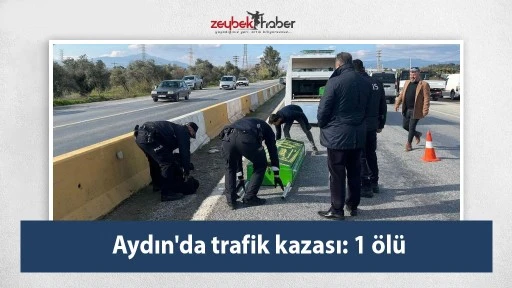 Aydın'da trafik kazası: 1 &ouml;l&uuml;