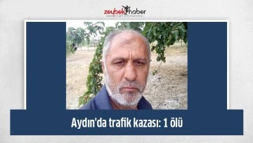 Aydın'da trafik kazası: 1 &ouml;l&uuml;