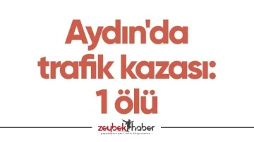 Aydın'da trafik kazası: 1 &ouml;l&uuml;