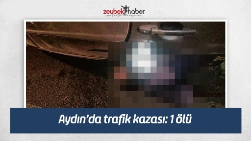 Aydın&rsquo;da trafik kazası: 1 &ouml;l&uuml;