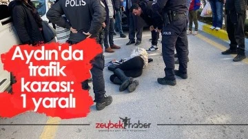 Aydın'da trafik kazası: 1 yaralı
