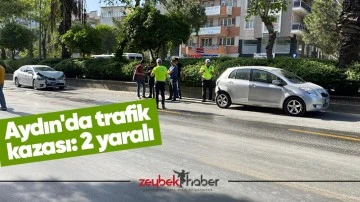Aydın'da trafik kazası: 2 yaralı
