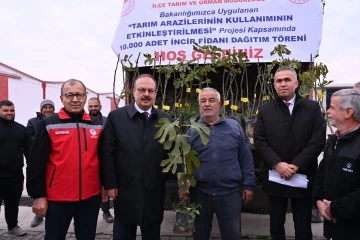 Aydın'da &uuml;reticilere 10 bin adet sarı lop incir fidanı dağıtıldı