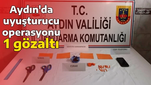 Aydın'da uyuşturucu operasyonu; 1 g&ouml;zaltı