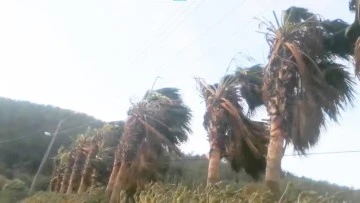 Aydın&rsquo;da yarın fırtına bekleniyor