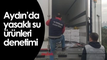 Aydın'da yasaklı su &uuml;r&uuml;nleri denetimi
