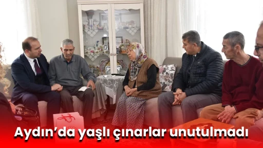Aydın&rsquo;da yaşlı &ccedil;ınarlar unutulmadı