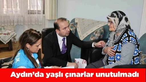Aydın&rsquo;da yaşlı &ccedil;ınarlar unutulmadı