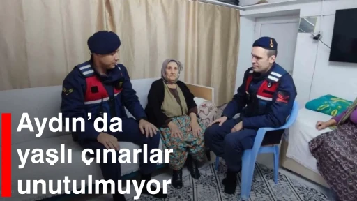 Aydın&rsquo;da yaşlı &ccedil;ınarlar unutulmuyor