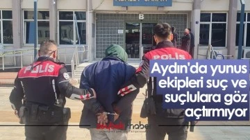 Aydın'da yunus ekipleri su&ccedil; ve su&ccedil;lulara g&ouml;z a&ccedil;tırmıyor