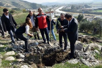 Aydın'da y&uuml;r&uuml;t&uuml;len proje kapsamında fıstık &ccedil;amı ve akasya ağacı dikimi yapıldı