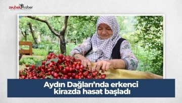Aydın Dağları&rsquo;nda erkenci kirazda hasat başladı