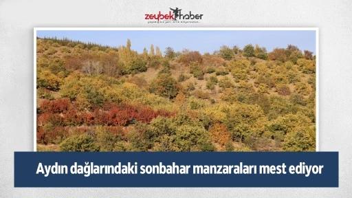 Aydın dağlarındaki sonbahar manzaraları mest ediyor