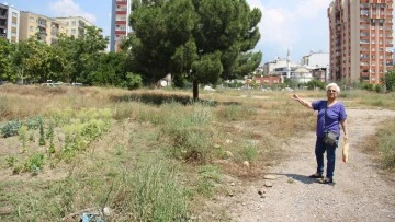 Aydın'daki Aykonutzedelerin umutları t&uuml;kendi