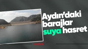 Aydın&rsquo;daki barajlar suya hasret