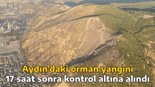 Aydın'daki orman yangını 17 saat sonra kontrol altına alındı