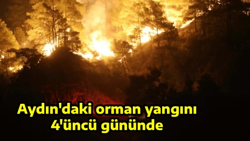 Aydın'daki orman yangını 4'&uuml;nc&uuml; g&uuml;n&uuml;nde