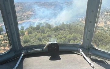 Aydın&rsquo;daki orman yangını b&uuml;y&uuml;meden s&ouml;nd&uuml;r&uuml;ld&uuml;