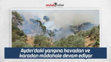 Aydın'daki yangına havadan ve karadan m&uuml;dahale devam ediyor