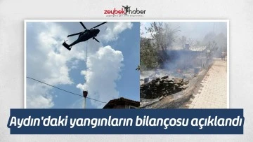 Aydın'daki yangınların bilan&ccedil;osu a&ccedil;ıklandı