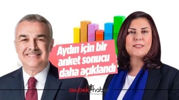 Aydın i&ccedil;in bir anket sonucu daha a&ccedil;ıklandı