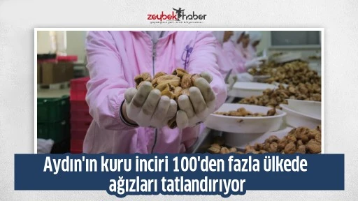 Aydın'ın kuru inciri 100'den fazla &uuml;lkede ağızları tatlandırıyor
