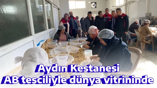 Aydın Kestanesi AB tesciliyle d&uuml;nya vitrininde