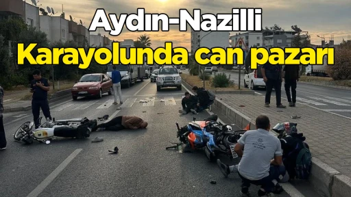 Aydın-Nazilli Karayolunda can pazarı