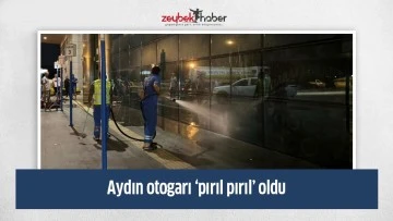 Aydın otogarı &lsquo;pırıl pırıl&rsquo; oldu