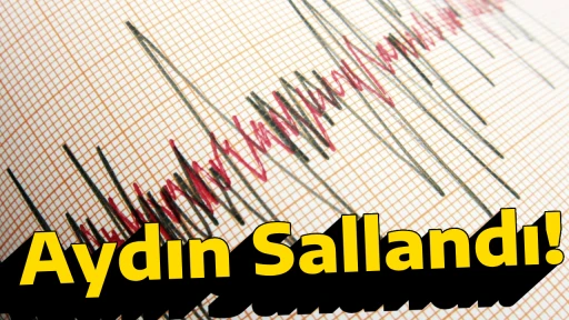 Aydın Sallandı!