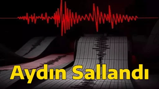 Aydın Sallandı