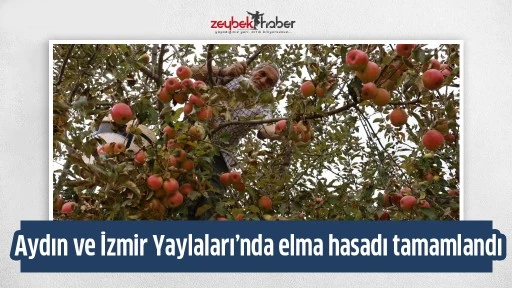 Aydın ve İzmir Yaylaları&rsquo;nda elma hasadı tamamlandı