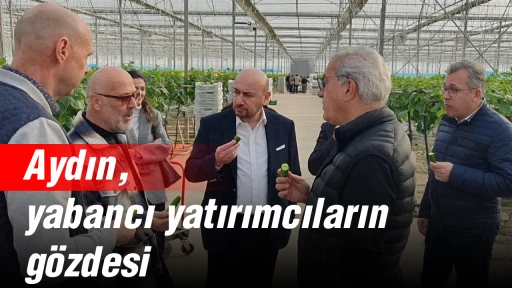 Aydın, yabancı yatırımcıların g&ouml;zdesi