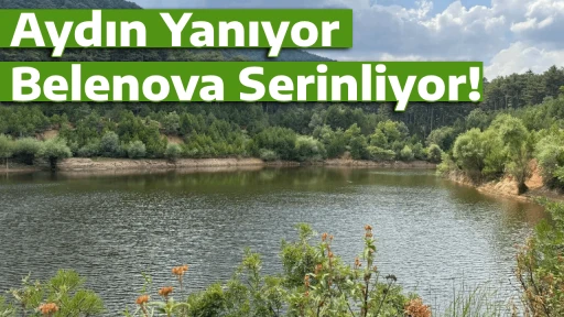 Aydın Yanıyor, Belenova Serinliyor!