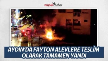 AYDINDA FAYTON ALEVLERE TESLİM OLARAK TAMAMEN YANDI