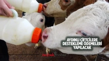 Aydınlı &ccedil;ift&ccedil;ilere destekleme &ouml;demeleri yapılacak